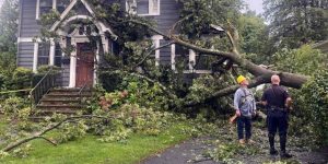 tree could fall South Jersey