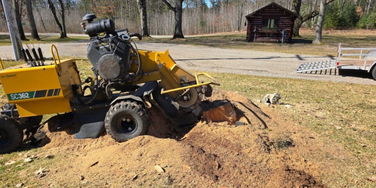 Professional arborist grinding a tree stump below ground level to remove the visible stump and prepare the area for landscaping | How Deep Does Stump Grinding Go?