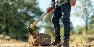 how long does it take to grind a stump