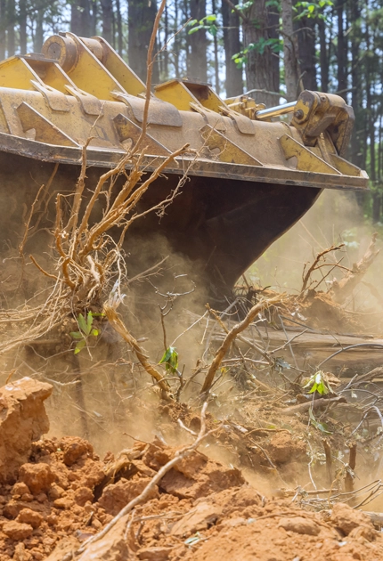 Lot Clearing Services Vineland, NJ