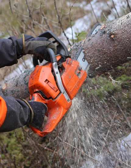 Tree Removal for Sicklerville Properties