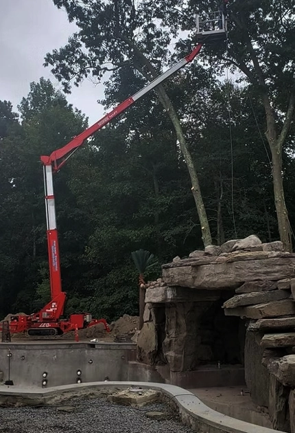 Tree Trimming & Pruning Services Vineland, NJ