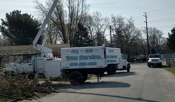 About Greg Smith Tree Service
