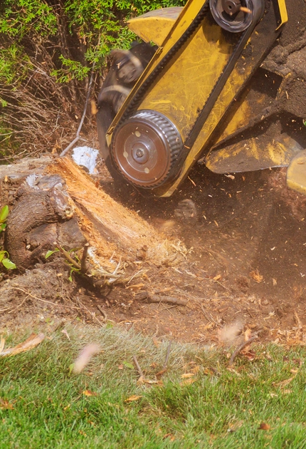 The Stump Grinding Plan