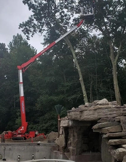 Professional Tree Trimming & Pruning Elmer, NJ