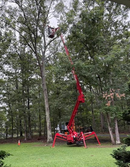 Tree Trimming & Pruning Franklinville, NJ
