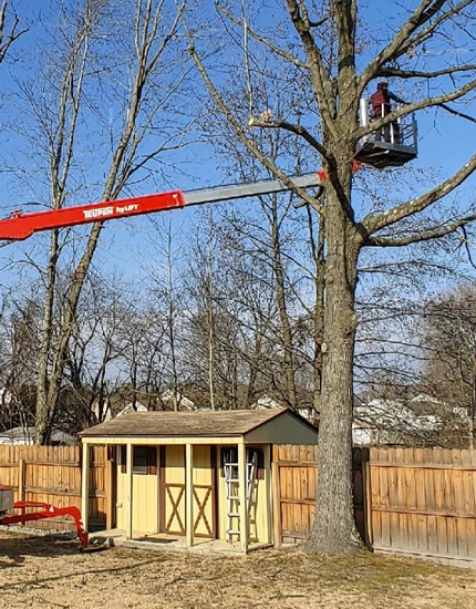 Tree Trimming & Pruning Sewell, NJ