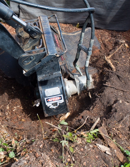 Stump Grinding Sewell, NJ