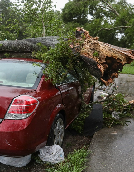 Emergency Tree Services Bridgeton, NJ