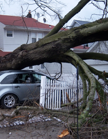 Emergency Tree Services Sewell, NJ
