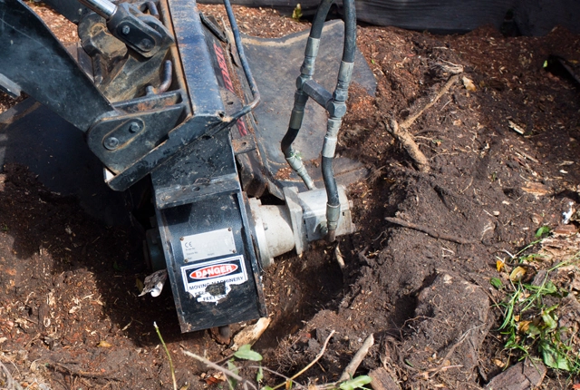 Vineland Stump Grinding Services