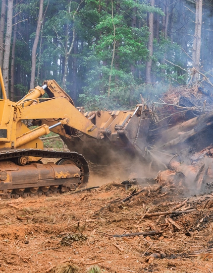 Professional Lot Clearing Williamstown, NJ