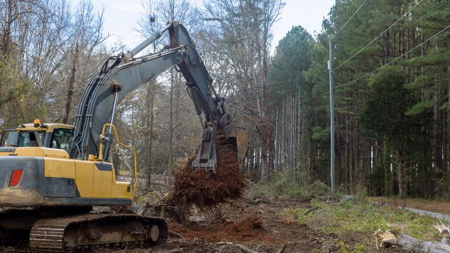Lot Clearing Vineland, NJ