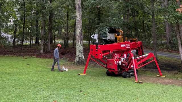 Tree Trimming & Pruning Vineland, NJ