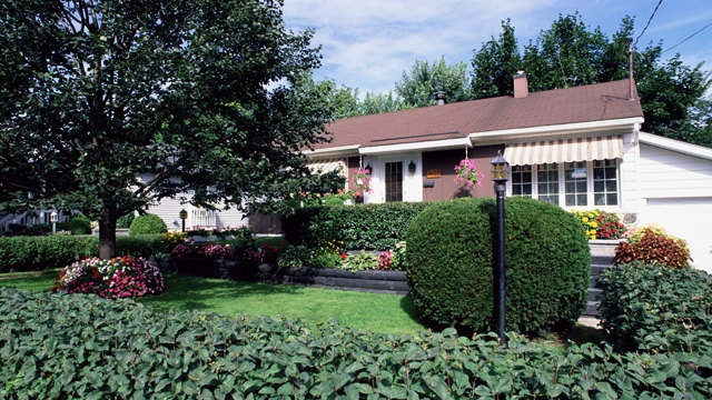 Tree Service Williamstown, NJ